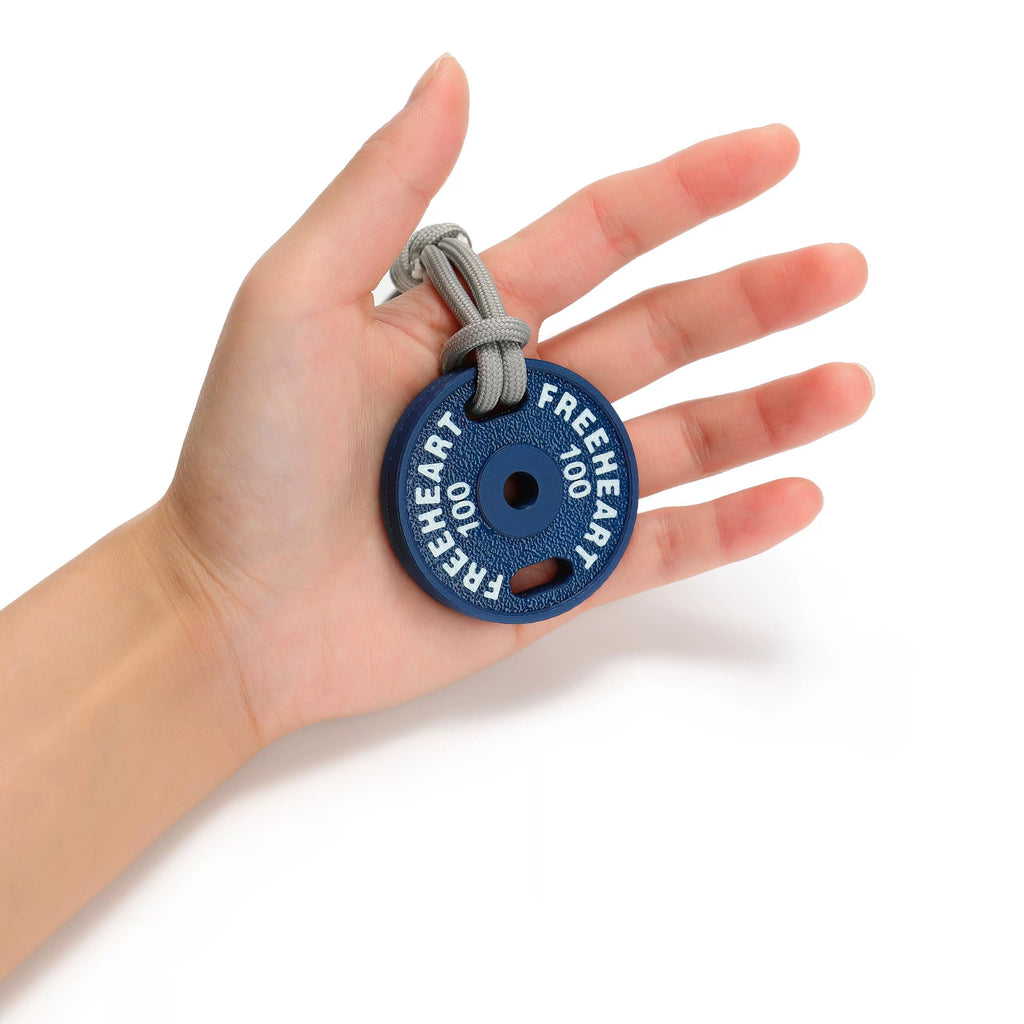 Mini Plate Keychain (Pounds)