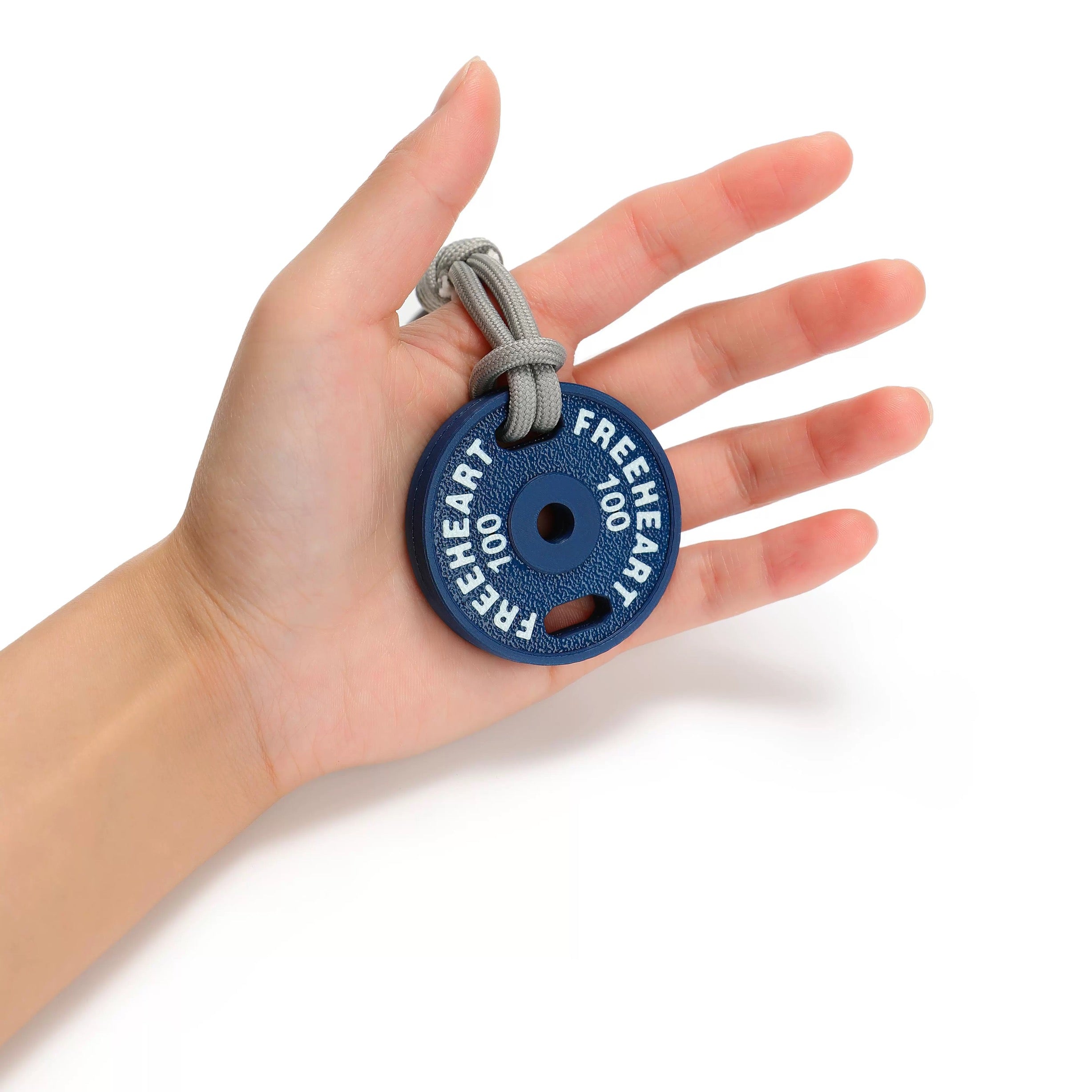 Mini Plate Keychain (Pounds)