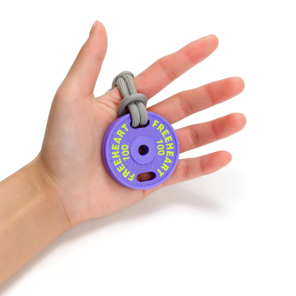 Mini Plate Keychain (Pounds)