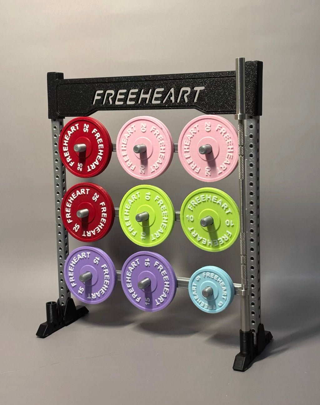 Mini Gym Plates Holding Rack